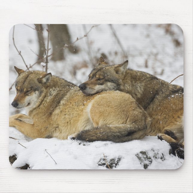 Wolves in the Bawarian Wood Mouse Mat (Front)