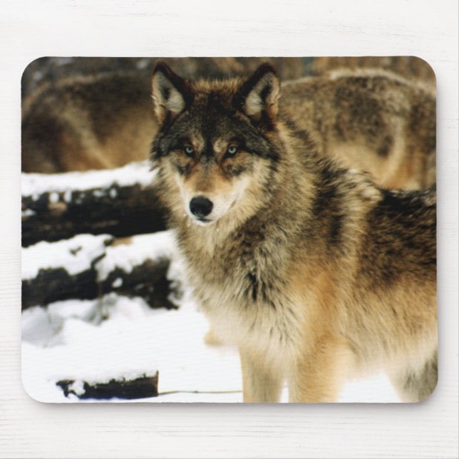 Wolves in The Snow Mouse Mat (Front)