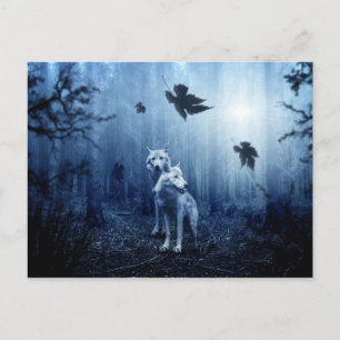 wolves in the woods postcard