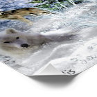 Wolves in Winter Christmas in The Woods