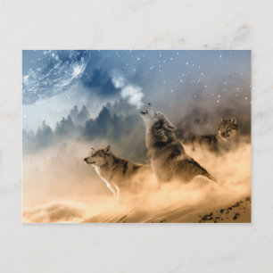 Wolves Moon Fog Nature Scenery Postcard