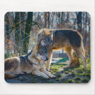Wolves  mouse mat