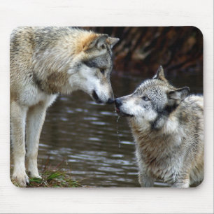 Wolves - Nose to Nose Mouse Mat