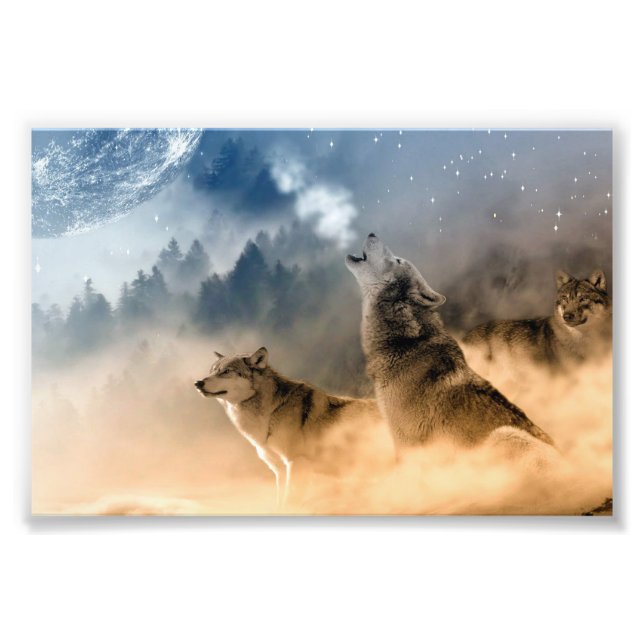 Wolves Photo Art Print (Front)