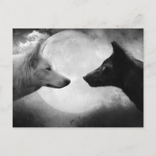 Wolves Postcard
