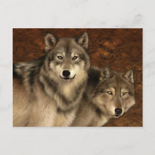 Wolves Postcard (Front)