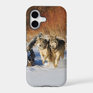 Wolves Running in Snow iPhone 4 Case