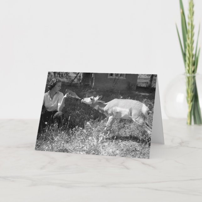 Woman bottle feeding an antelope. card (Front)