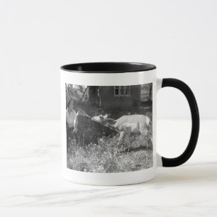 Woman bottle feeding an antelope. mug