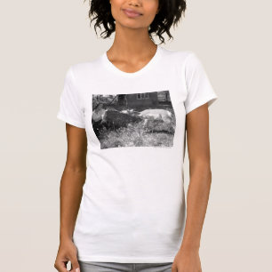 Woman bottle feeding an antelope. T-Shirt