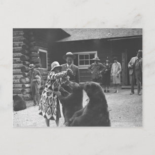 Woman feeding bears. postcard