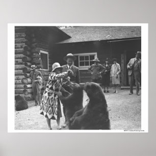 Woman feeding bears. poster