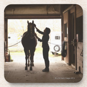 Woman grooming horse coaster