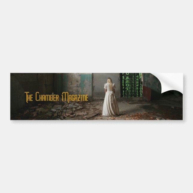 Woman in abandoned chamber bumper sticker (Front)