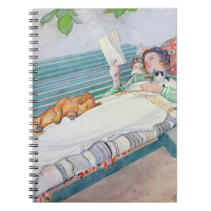 Woman Lying on a Bench, 1913 (w/c on paper) Notebook