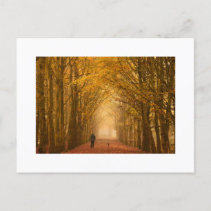 Woman walking with her dog on fall morning card