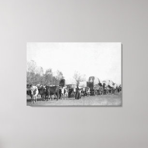 Woman with Ox Train Holds a Whip Photograph Canvas Print