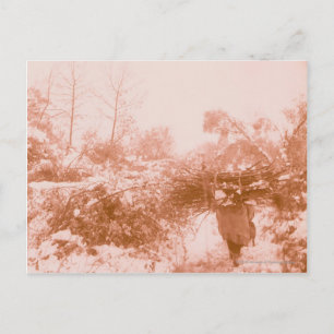 Woman Wood Gatherer Postcard