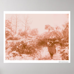 Woman Wood Gatherer Poster