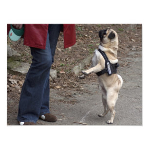 Womanizer Photo Print