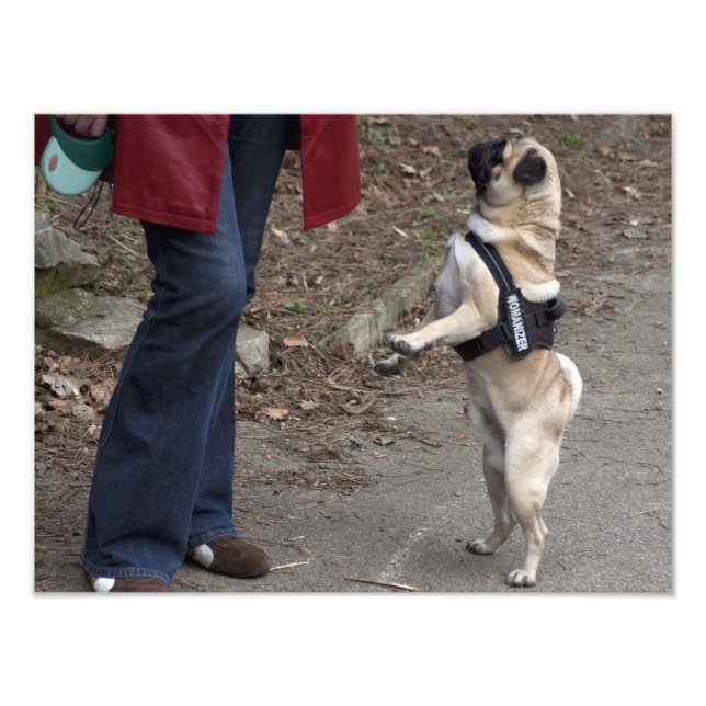 Womanizer Photo Print (Front)