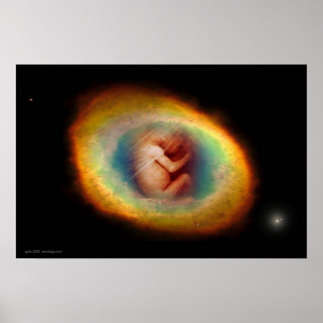 Womb by Gregory Gallo Poster (Front)