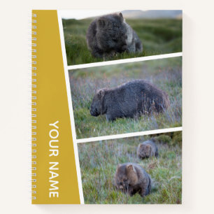 Wombat Australia Photo Collage, Gold Notebook