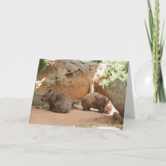Wombat Heaven Card