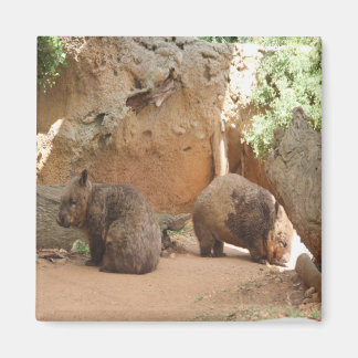Wombat Heaven Magnet