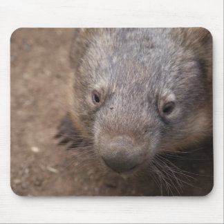 Wombat Kiss Mouse Mat