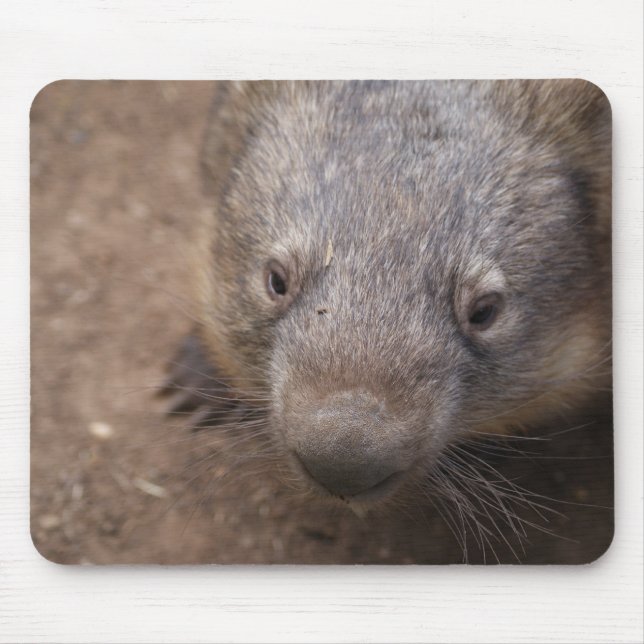 Wombat Kiss Mouse Mat (Front)