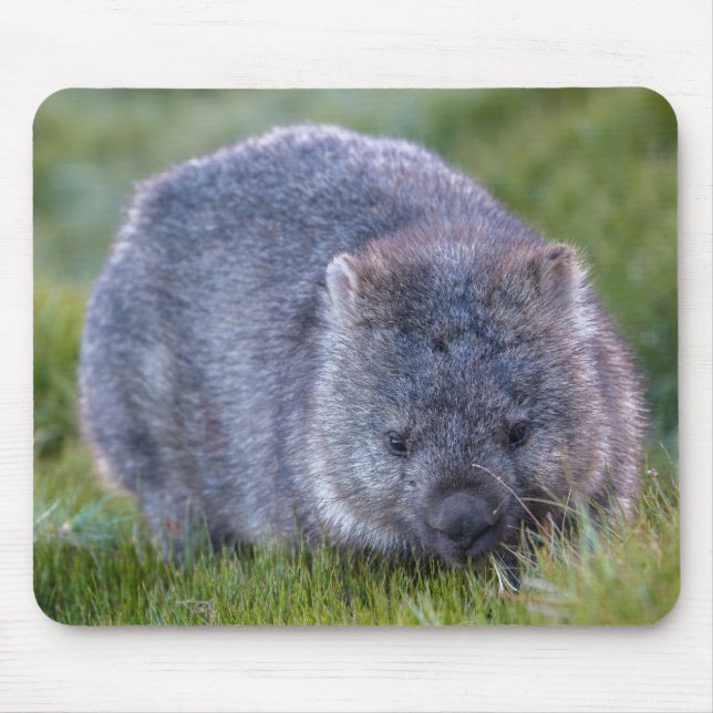 Wombat Mouse Mat (Front)