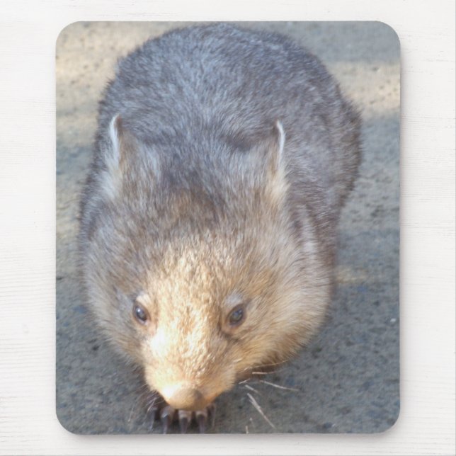 Wombat Mousepad (Front)