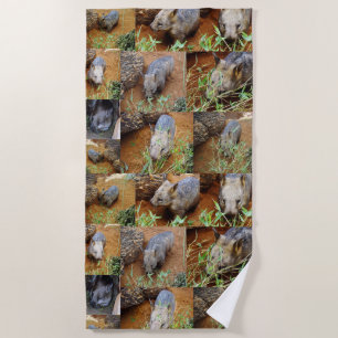Wombat Photo Collage, Beach Towel