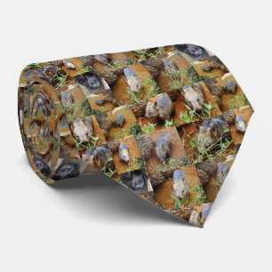Wombat Photo Collage, Tie