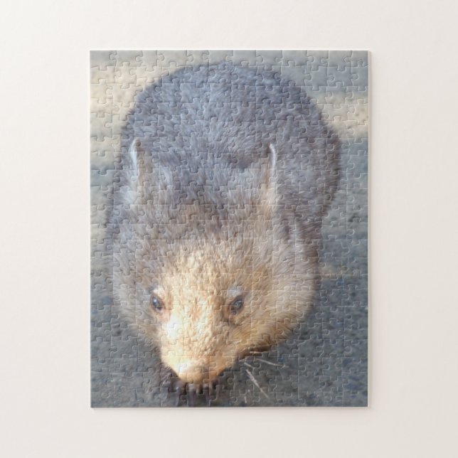 Wombat Puzzle (Vertical)