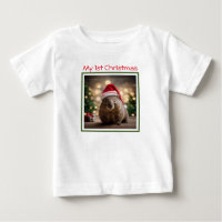 "Wombat Wonderland: A Cozy Christmas Eve"