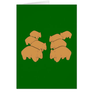 wombats