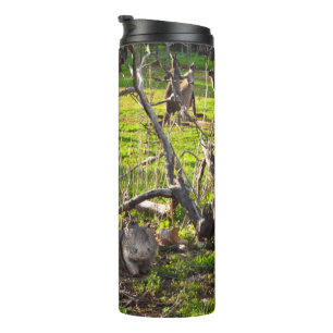 Wombats And Kangaroos, Thermal Tumbler