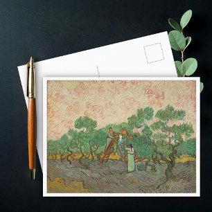 Women Picking Olives, Van Gogh Postcard