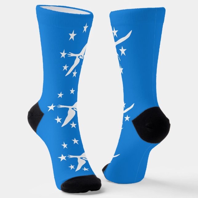 Women socks with flag of Corpus Christi, Texas (Angled)
