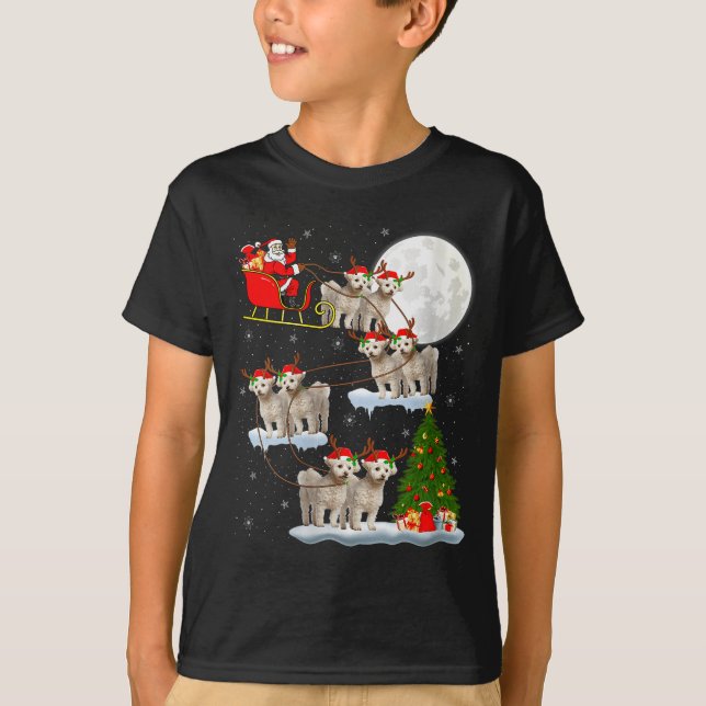 Womens Bichon Frise Dog Santa Sleigh Flying Funny  T-Shirt (Front)