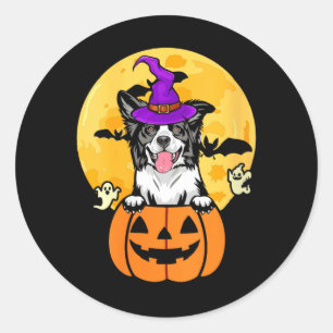 Womens Black And White Border Collie Witch Dog Classic Round Sticker