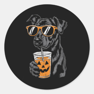 Womens Black Dog With Pumpkin Drink Sungles Classic Round Sticker