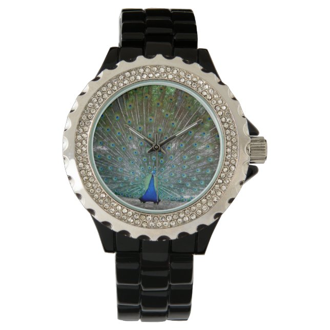 Women's Black Rhinestone Opened Winged Peacock Watch (Front)