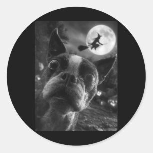 Womens Boston Terrier Selfie Full Moon Flying Classic Round Sticker