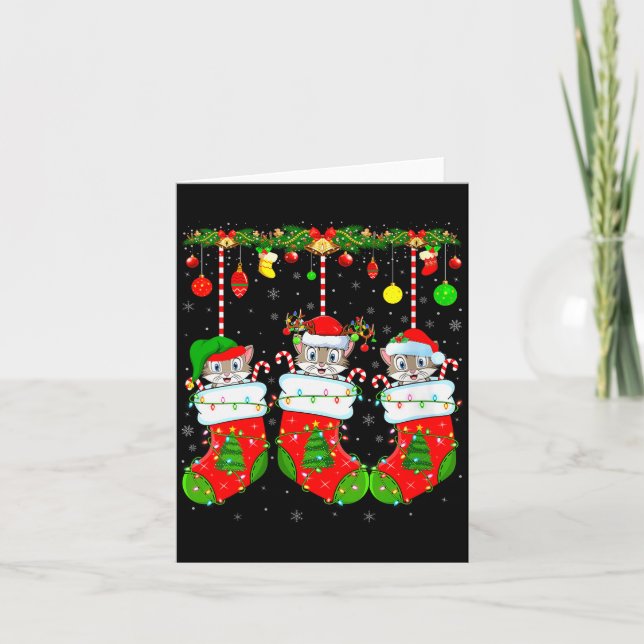 Womens Cats In Christmas Socks Funny Pet Animal Ca Card (Front)