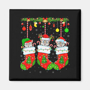 Womens Cats In Christmas Socks Funny Pet Animal Ca Magnet