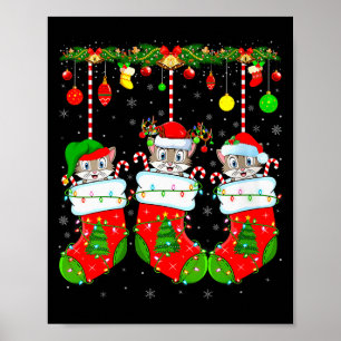 Womens Cats In Christmas Socks Funny Pet Animal Ca Poster