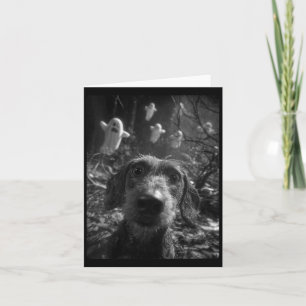 Womens Dachshund Selfie With Ghosts Haunted Forest Card